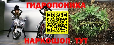 герыч Гатчина