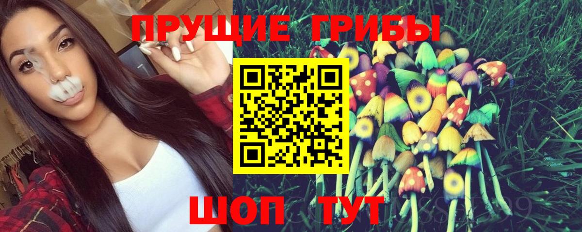 Псилоцибиновые грибы мицелий Мурино