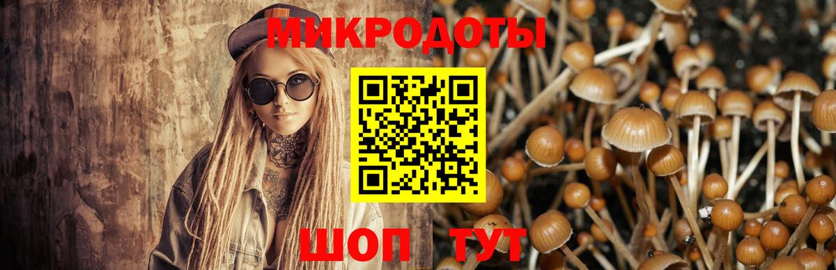 где купить   Псилоцибиновые грибы Psilocybine cubensis  Вход с VPN  Мурино  Псилоцибиновые грибы Magic Shrooms 