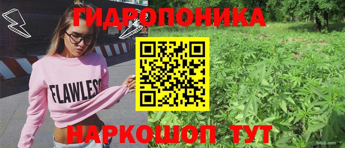 Марихуана MAZAR Мурино