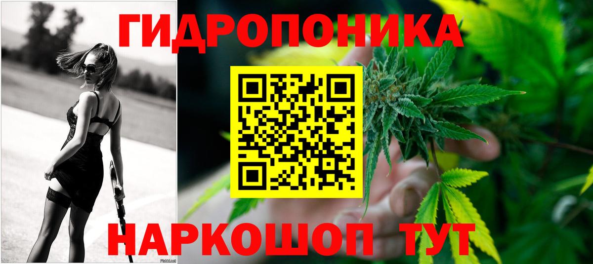 МАРИХУАНА конопля  Каннабис VHQ  Мурино  Вход с VPN  Конопля тримм  Конопля White Widow 
